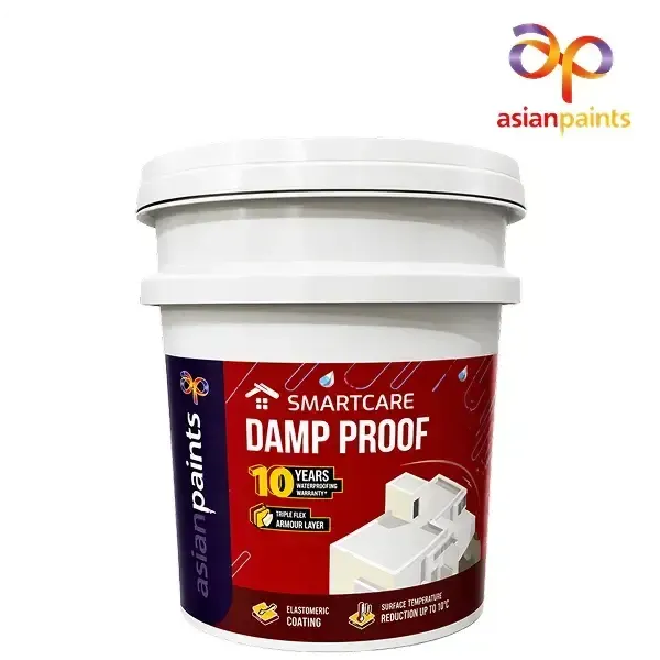 Asian Paints Smartcare Damp Proof